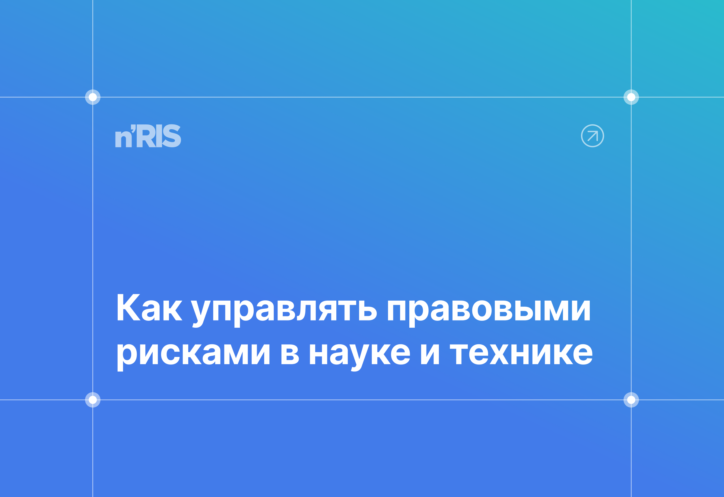 n'RIS на Kazan Legal Forum
